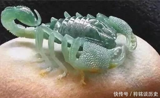 料子|翡翠原石摇身一变成了天蝎子,这也太逼真了吧师傅雕工让你惊吓