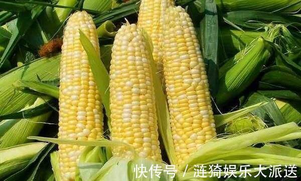 玉米|多吃玉米好处多多,但是这三类人最好少吃,看看你有没有在其中
