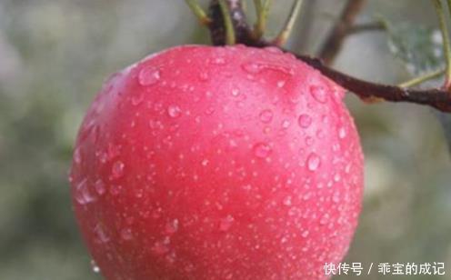 喜欢吃1种水果的人,寿命不会短,谨记“2个不”