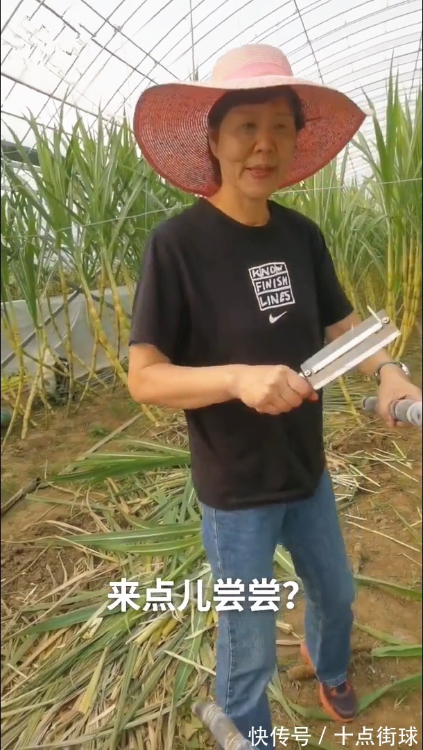 郎平|卸任女排教练后,61岁的郎平享受退休生活,未来重返女排仍有可能