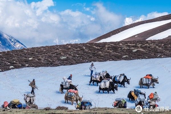 帐篷|情侣露营，装备指南（glamping）