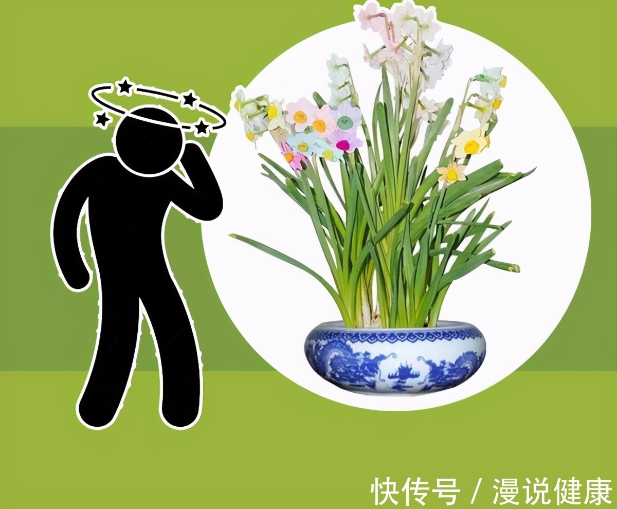 秋季|夏天已过,秋天的蚊子为何还猛如虎?做好4件事,安心过好秋