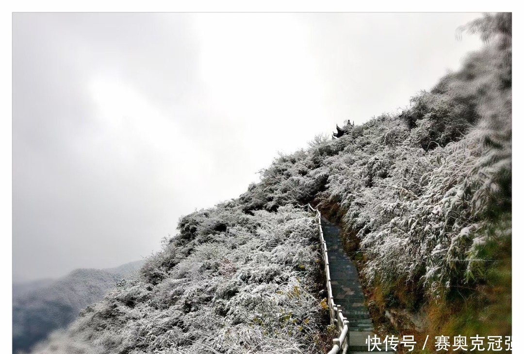  下雪|绩溪下雪啦！朋友圈已被刷爆！