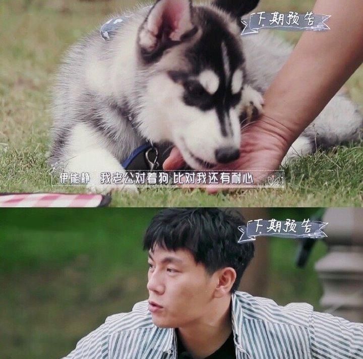 董卿|董卿手寫信有感，“腹有詩書氣自華”，多讀書突破自己！