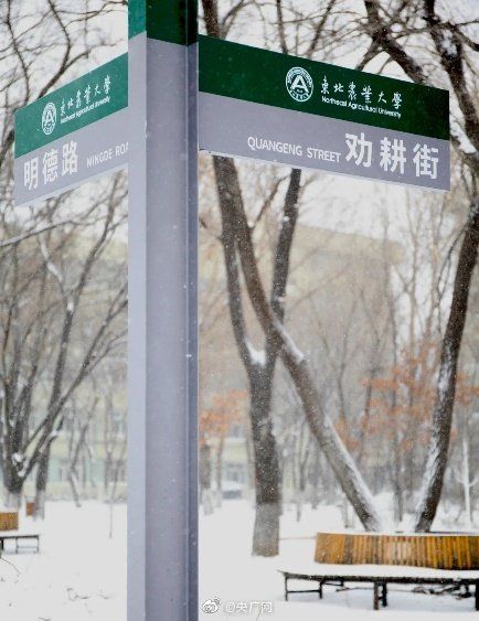 东北农业大学|东北农业大学冬日雪景流露特殊浪漫