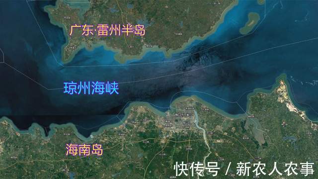 4名男子在琼州海峡无人岛上钓鱼,却意外地摊上事了,到底为啥?