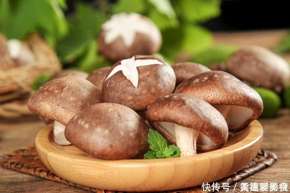 香菇|买香菇，挑大的还是小的？老菜农：牢记“3买4不买”，谁也不敢忽悠你