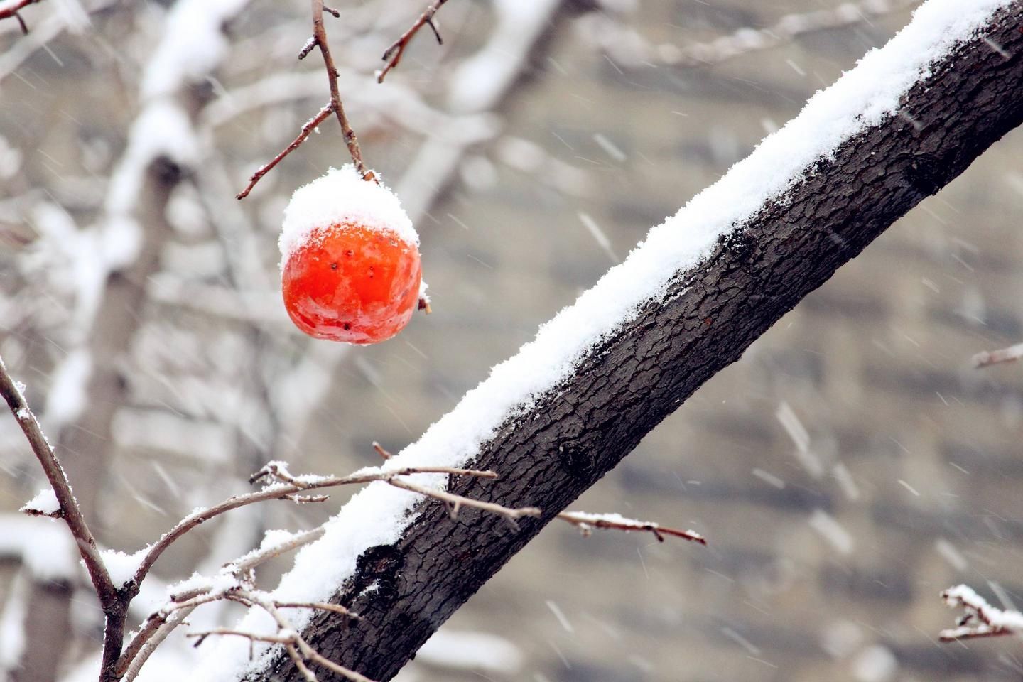 长春|相约长春，邂逅冰雪奇缘