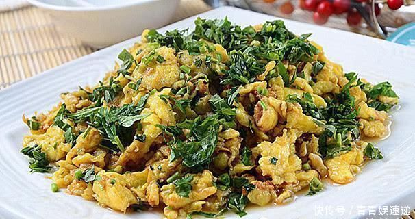 清肺|茴香靠边站，它才和鸡蛋绝配，健脾胃，清肺热止咳，比炒韭菜好吃