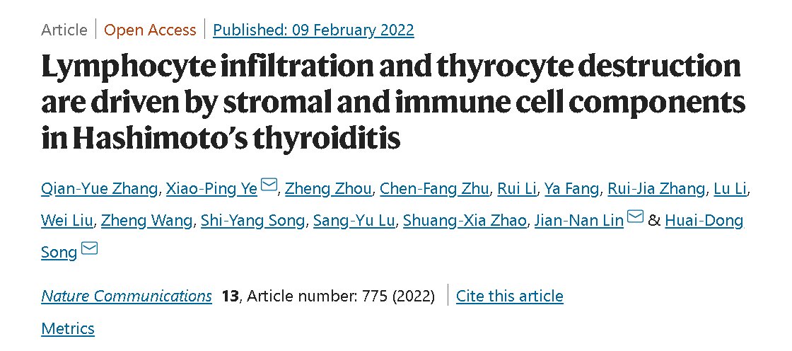 机制|女性人群中患病率超10%，上海科研团队发现桥本甲状腺炎致病新机制