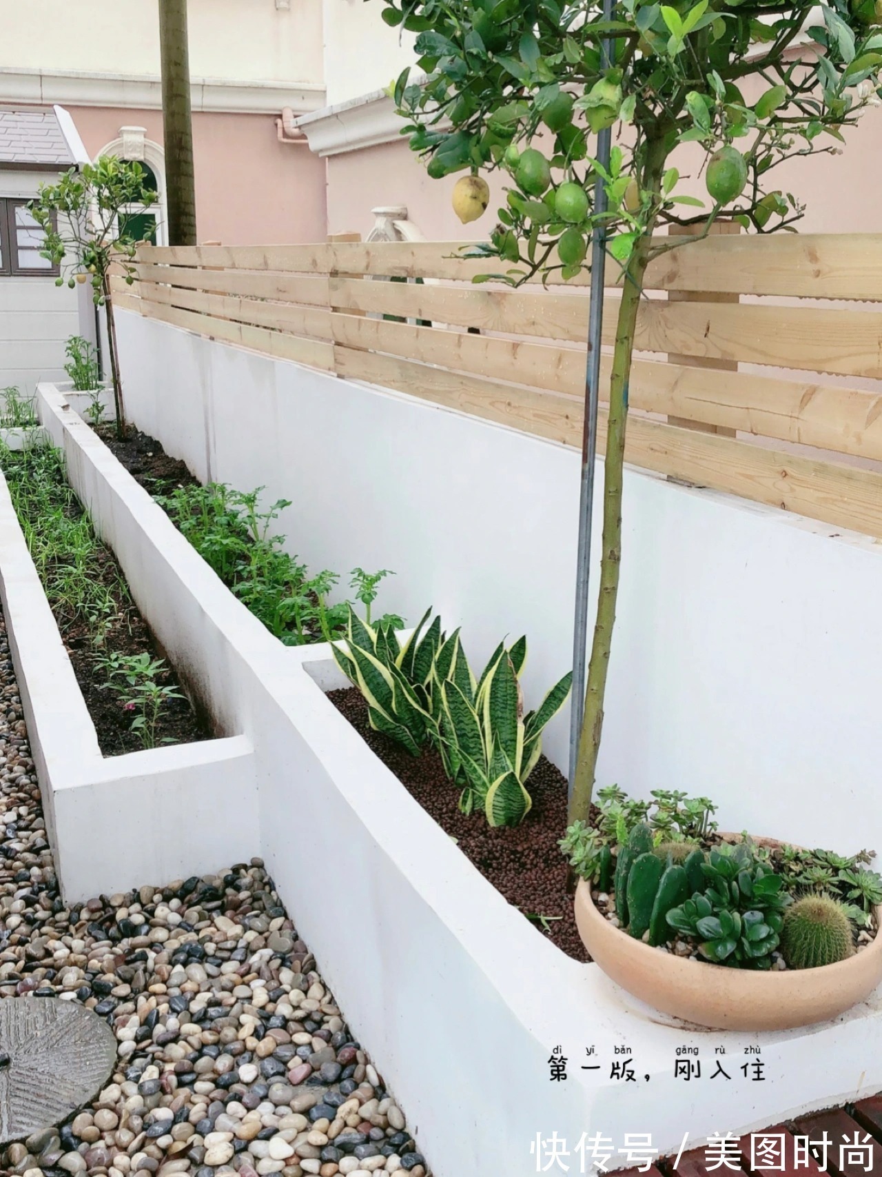 预算8万,改造170㎡别墅“沙漠植物懒人花园”,太好看了