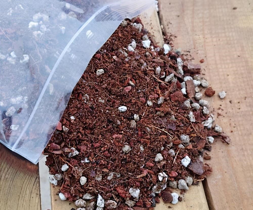 多肉喜“酸”还是喜“碱”?一个配土“小原则”,多肉个个养的棒