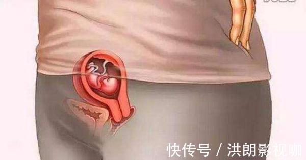 过程|怀胎十月到底是什么样的,十张图带你看孕育过程,生而为人须了解