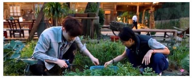 向往的生活|《向往的生活5》何炅等人抓泥鰍，張藝興害怕，想出妙招應對