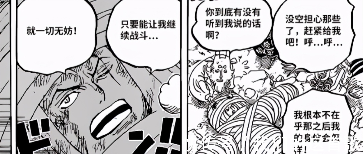 小玉|《海贼王》1017话更新,原来橡胶果实也有故事