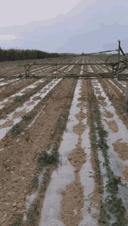 |搞笑GIF:老哥你这么做对得起你后面的兄弟吗?