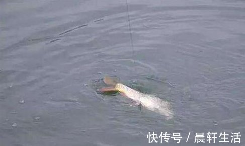 风浪|钓鱼天气和钓点的选择技巧,这些时机出钓,钓一次爽一次