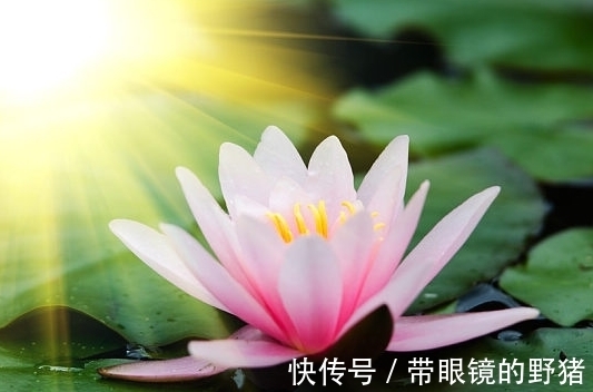 属相兔|12月中旬，吉星进门，4属相桃花开横财来，生活蒸蒸日上