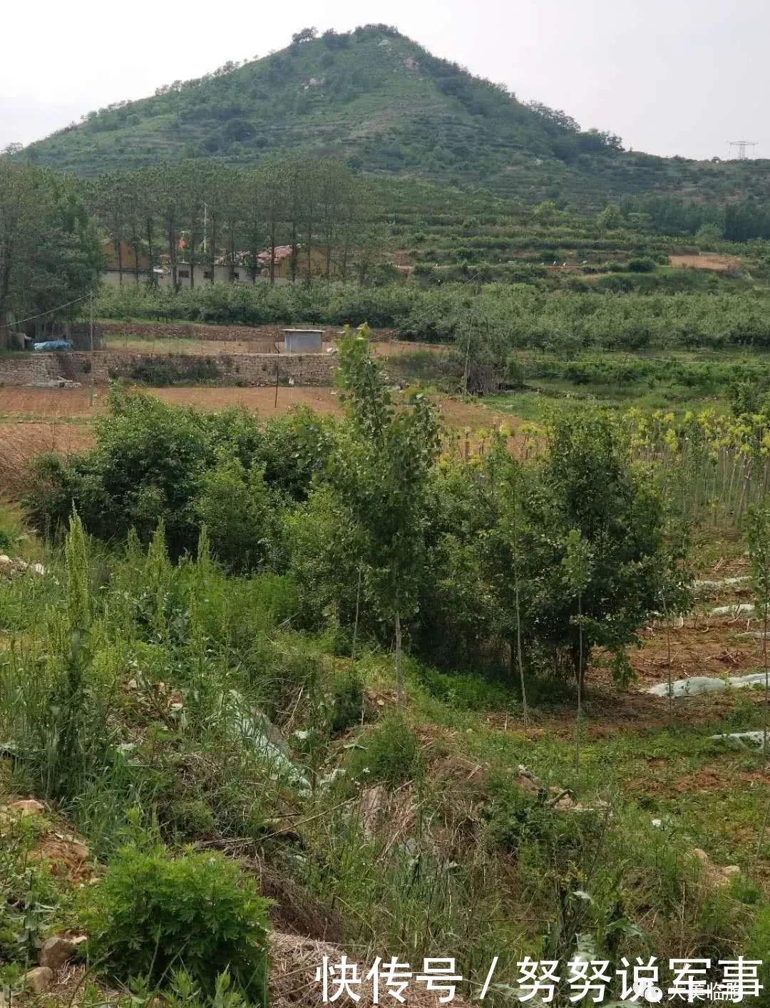 临朐有个金葫芦山，也有个银葫芦山