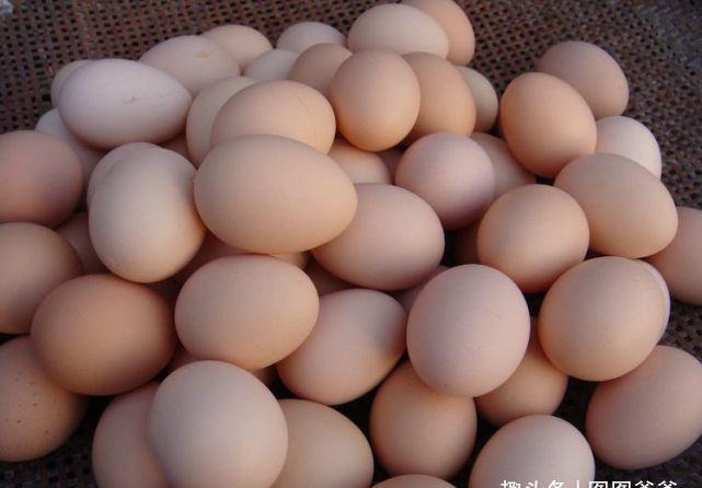 孩子|8岁女孩身高突破140cm,儿科医生:3种食物助长高,可多吃