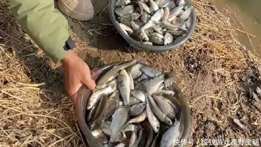 鲤鱼|夏季一下雨就难钓鱼了？其实只需换用这3招，鲫鲤鱼格外好钓