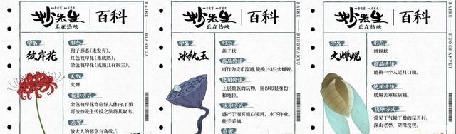 大护法|看完了火遍抖音的失足女云香，带你详细的了解一下《妙先生》