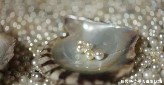 珍珠|亲临MIKIMOTO珠宝基地,揭秘顶级珍珠诞生的背后真相