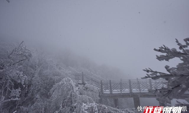 天门山|气温降“裹银装”张家界天门山景区迎来入冬首场降雪