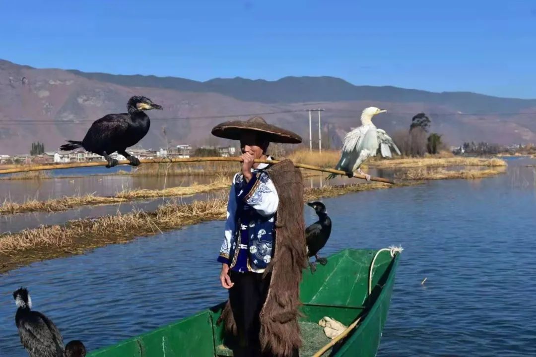 草海|这个夏天，这是鹤庆新华银匠村最正确的打开方式