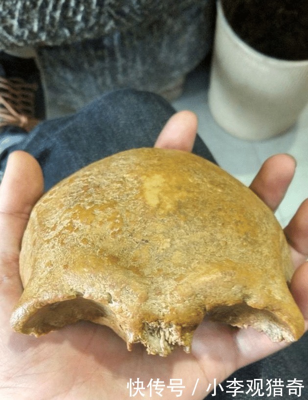 脑壳|脑壳发凉,这玩意儿也是文玩吗