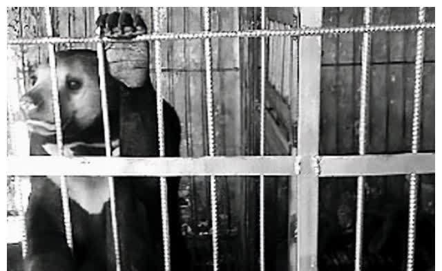 缅北明家犯罪集团39人被提起公诉 检察机关披露办案金沙娱乐- 威尼斯人- 太阳城- 澳门在线娱乐城详情