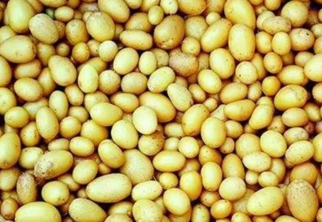 核桃|好食物吃出好身体，女性坚持吃3物，延缓衰老，皱纹淡了，体质好