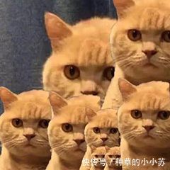 痘痘|油痘肌、干皮敏感皮的救星来啦！买这几款洗面奶准没错