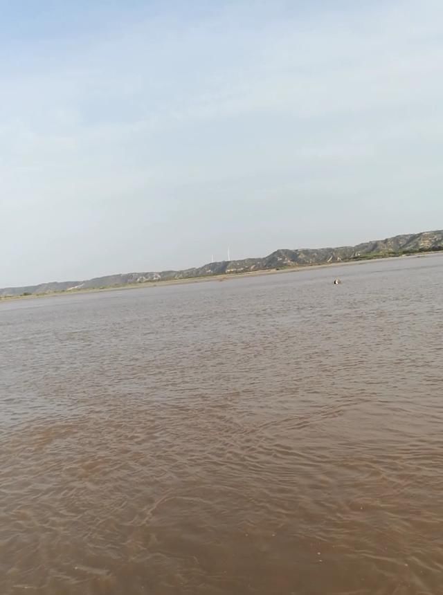 浑水也能钓鱼,老司机漫谈夏季浑水钓鱼技巧