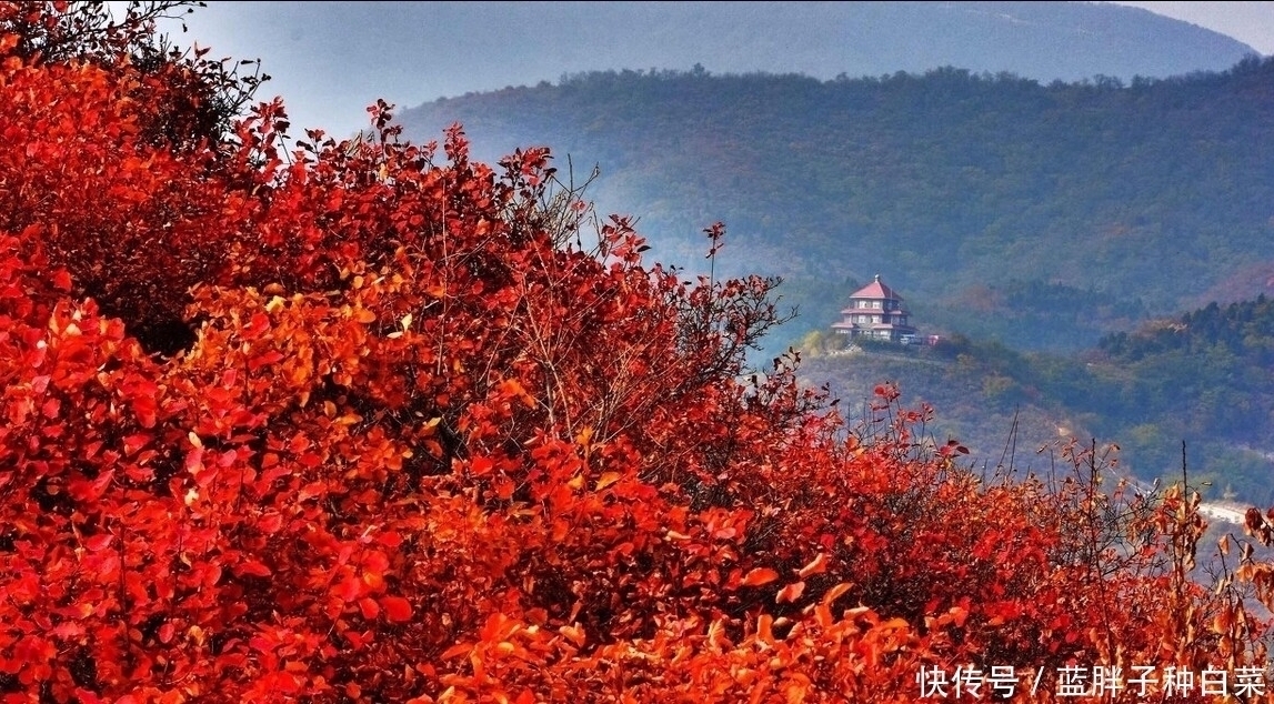 毛泽东@这首毛主席诗词,凭啥成为高中语文第一课?