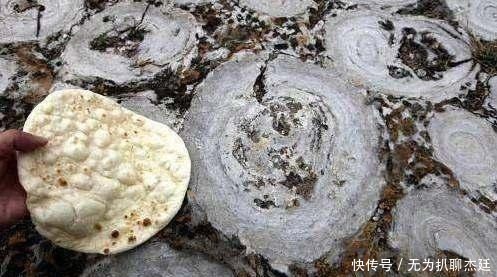 简直|日军捉了500名女学生，强迫一人吃一个饼，简直惨无人道