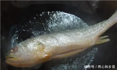 客人|黄鱼汤配雪菜也是一道名菜,学会了招待客人