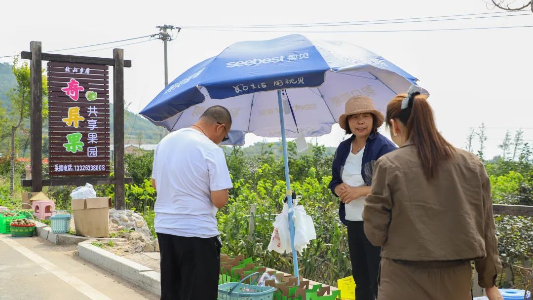 齐鲁风情5号路,把绿水青山带成金山银山|“沿着公路看乡村振兴”①| 樱桃树