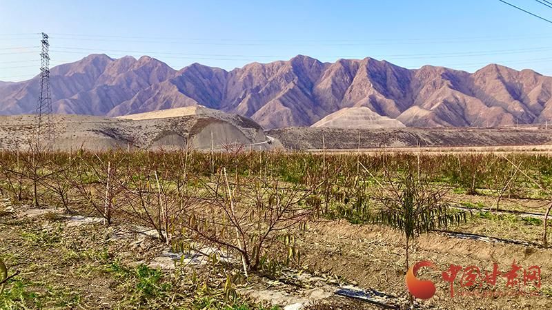 甘肃省|临夏永靖：百里山河锻造生态新名片