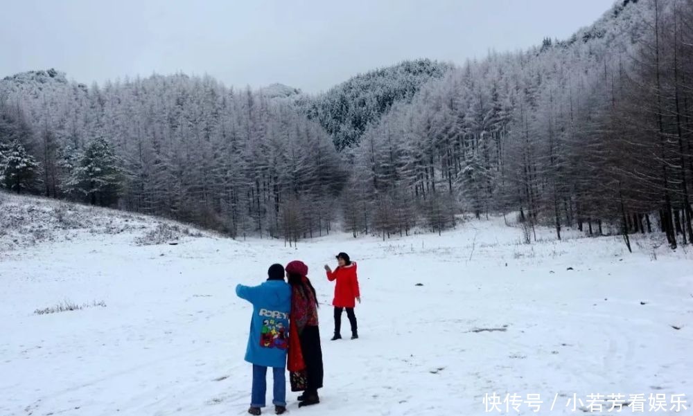 雪天|一到雪天，李家就美成了壁纸！