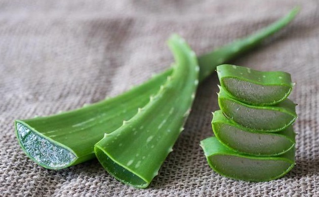 家有芦荟的有福了,用芦荟擦脸的4大好处,皮肤发生的喜人改变