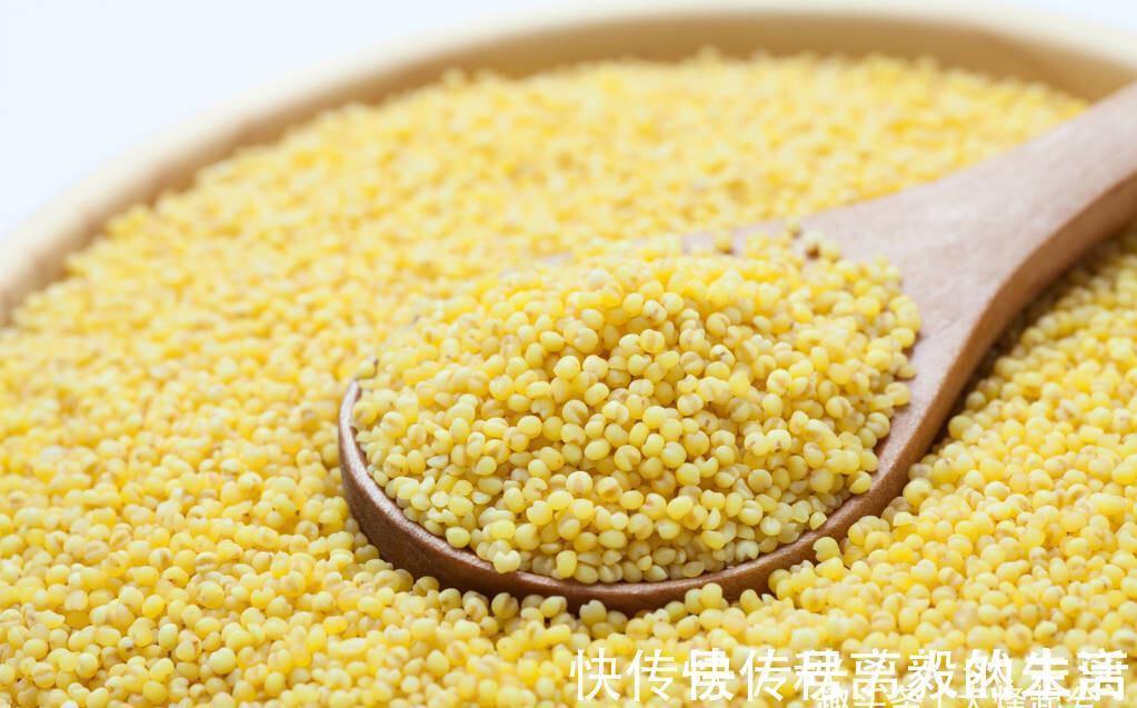 米香味|熬小米粥切记不要直接清水下锅，多加2步，米香黏稠，太好喝了