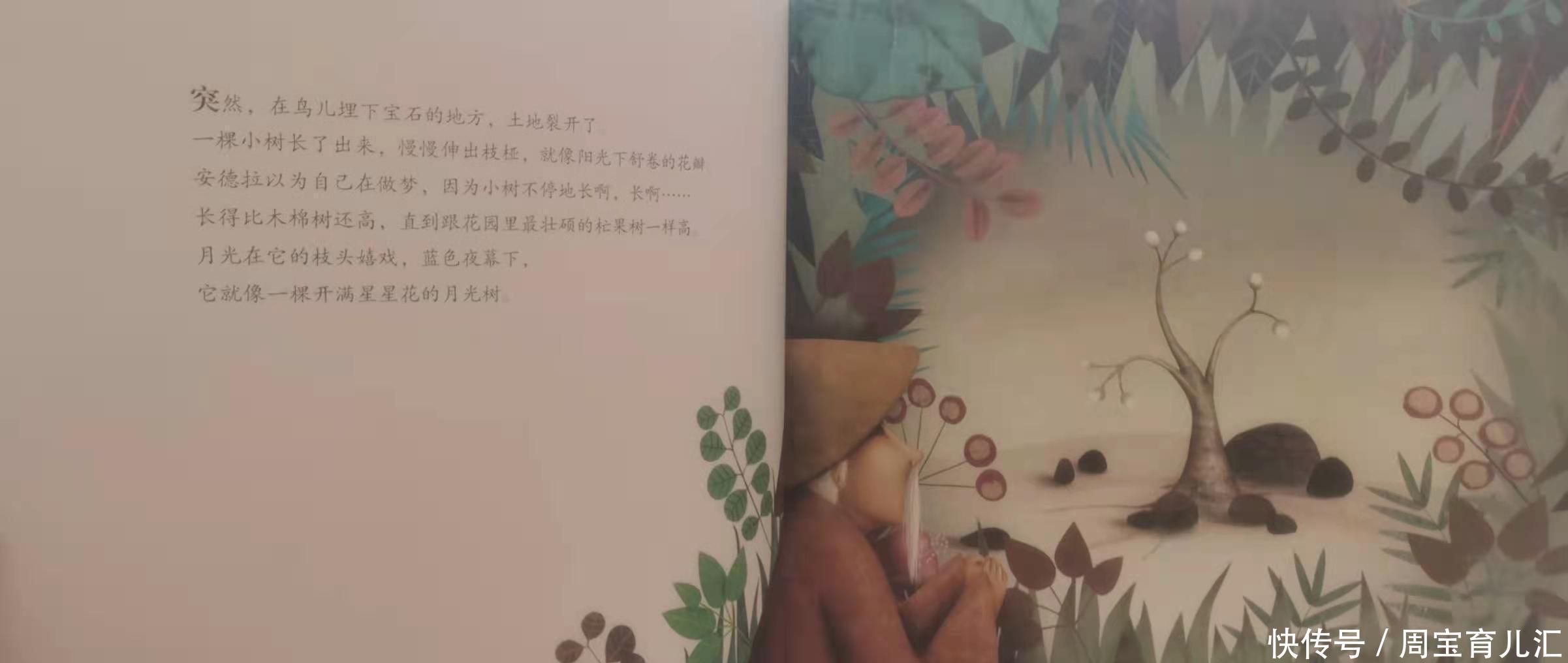 万物|《无字书》:一本长出来的无字书,孩子却能读懂它承载的万物故事