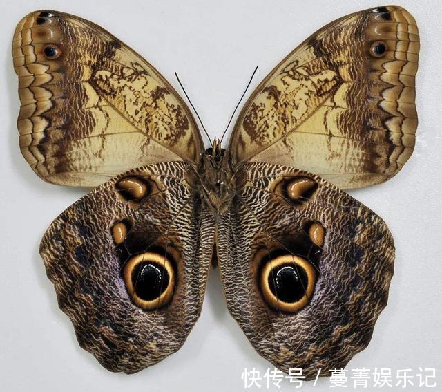 老实人|我见过最糟糕的父母,把孩子都培养成了易受欺负的“老实人”