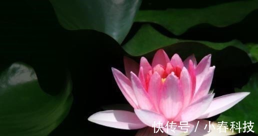 弱点!这五种事,烂在肚子里也不能对别人说,避免惹祸