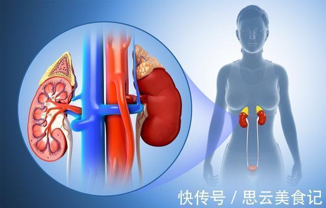 尿路感染|金匮肾气丸、六味地黄丸、右归丸,这些补肾中成药还有这些新作用