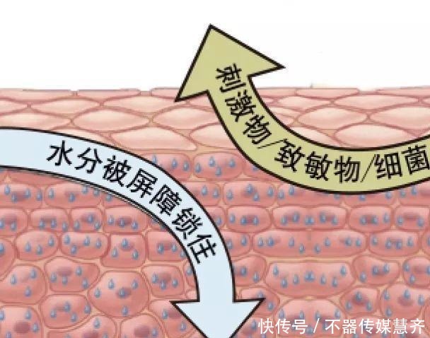 屏障|老生常谈：“补水”毁了多少好皮肤？面膜敷得少，皮肤会更好