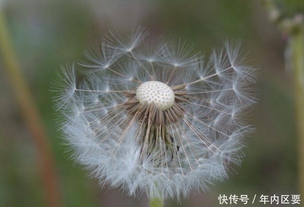 缘分|再过8天，月老助力，缘分萌芽，紧随其后，邂逅爱情，手到擒来