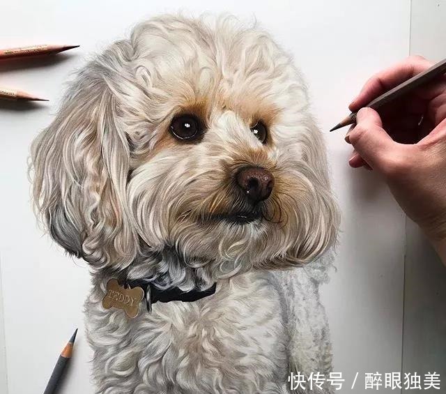 她仅凭1支彩铅就把小狗画活了,还一举俘获近100万粉丝!