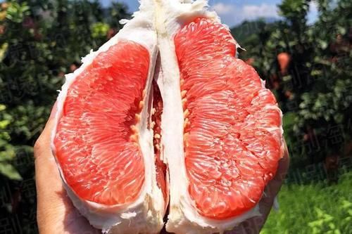 心脑血管|想长寿全靠吃，3种食物不错过，排毒养颜，增强体质！